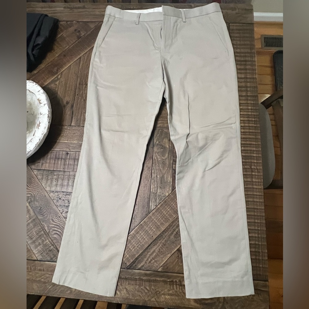 Express Dress Pants
